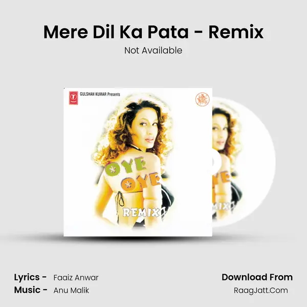 Mere Dil Ka Pata - Remix Song mp3 | Not Available