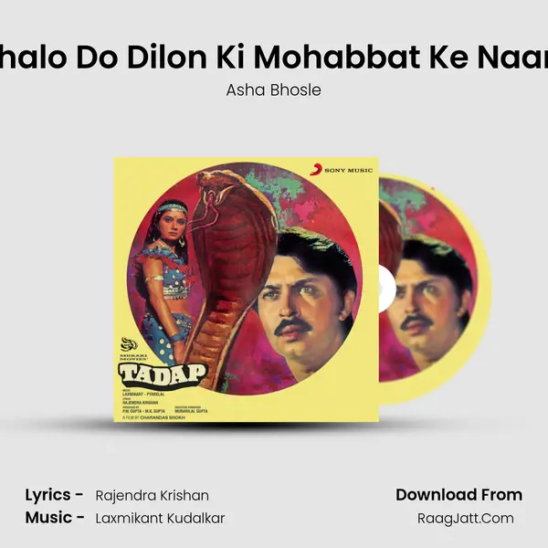 Chalo Do Dilon Ki Mohabbat Ke Naam Song mp3 | Asha Bhosle