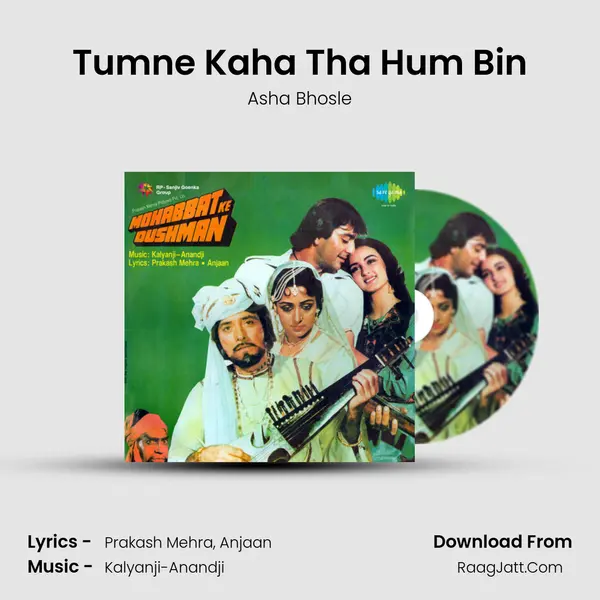 Tumne Kaha Tha Hum Bin Song mp3 | Asha Bhosle