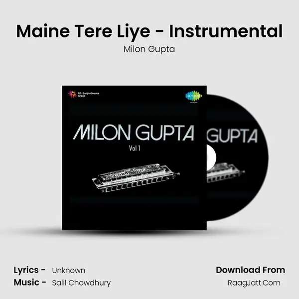 Maine Tere Liye - Instrumental mp3 song