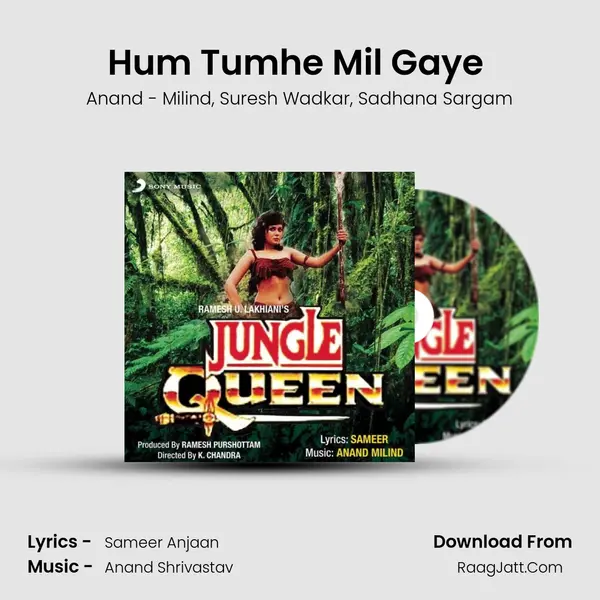 Hum Tumhe Mil Gaye (Sad Version) Song mp3 | Anand - Milind