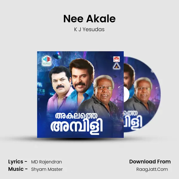 Nee Akale mp3 song