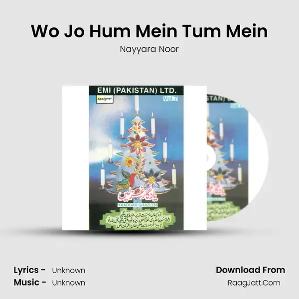 Wo Jo Hum Mein Tum Mein Song mp3 | Nayyara Noor