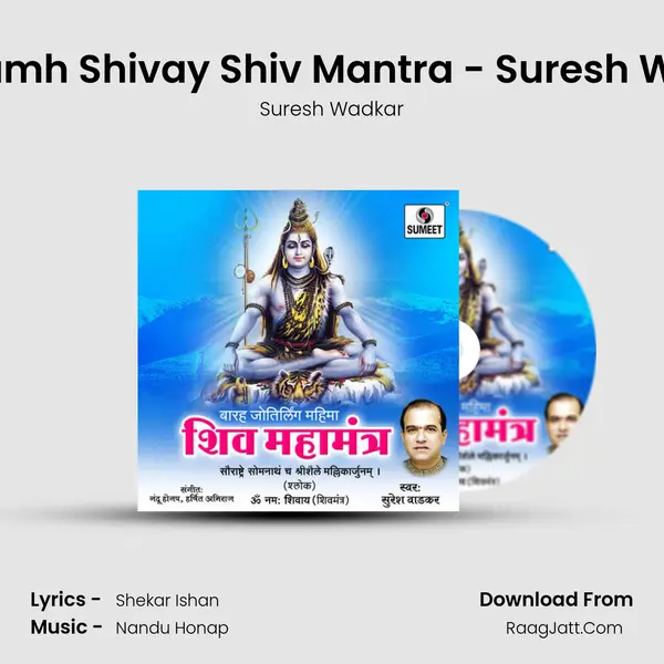 Om Namh Shivay Shiv Mantra - Suresh Wadkar Song mp3 | Suresh Wadkar