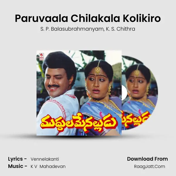 Paruvaala Chilakala Kolikiro Song mp3 | S. P. Balasubrahmanyam