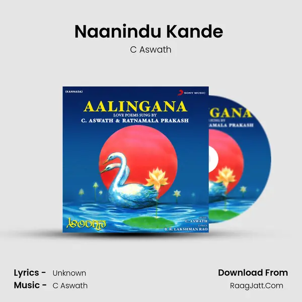 Naanindu Kande (Instrumental) Song mp3 | C Aswath