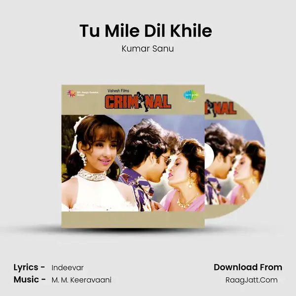 Tu Mile Dil Khile (Male) Song mp3 | Kumar Sanu