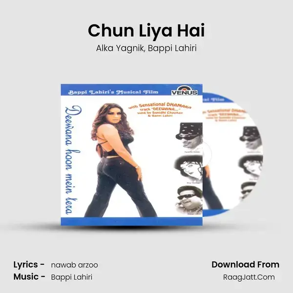 Chun Liya Hai Song mp3 | Alka Yagnik