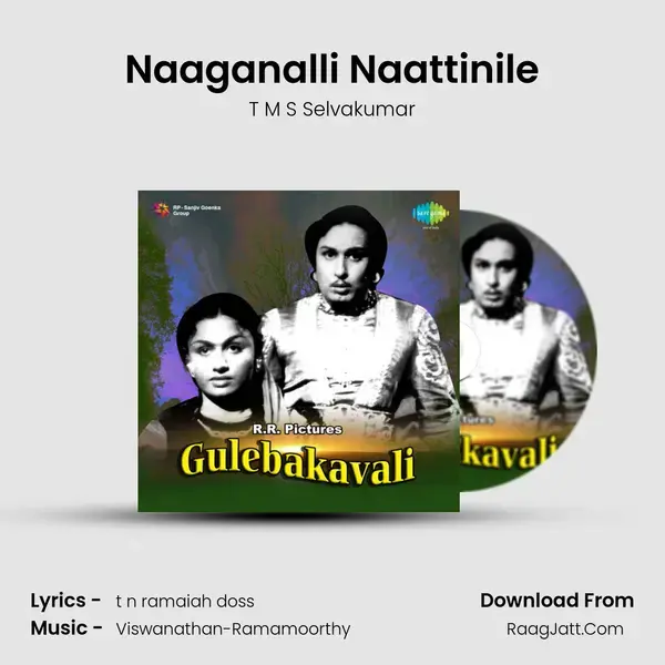 Naaganalli Naattinile Song mp3 | T M S Selvakumar