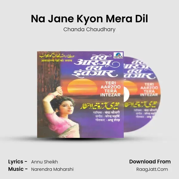 Na Jane Kyon Mera Dil Song mp3 | Chanda Chaudhary