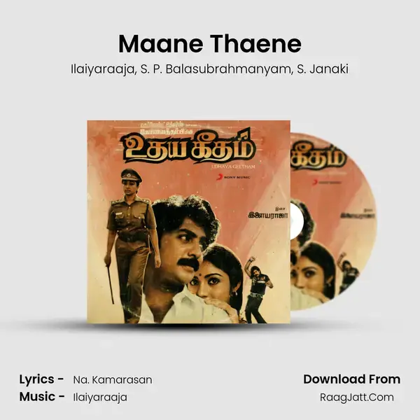 Maane Thaene Song mp3 | Ilaiyaraaja