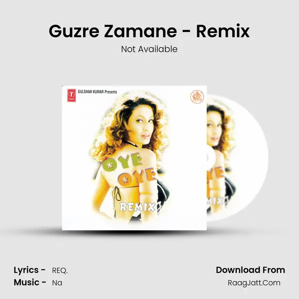 Guzre Zamane - Remix Song mp3 | Not Available