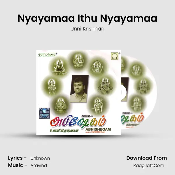 Nyayamaa Ithu Nyayamaa Song mp3 | Unni Krishnan