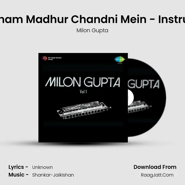 Aaja Sanam Madhur Chandni Mein - Instrumental mp3 song