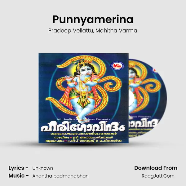 Punnyamerina mp3 song