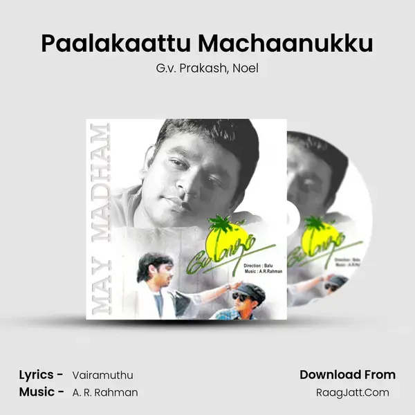 Paalakaattu Machaanukku mp3 song