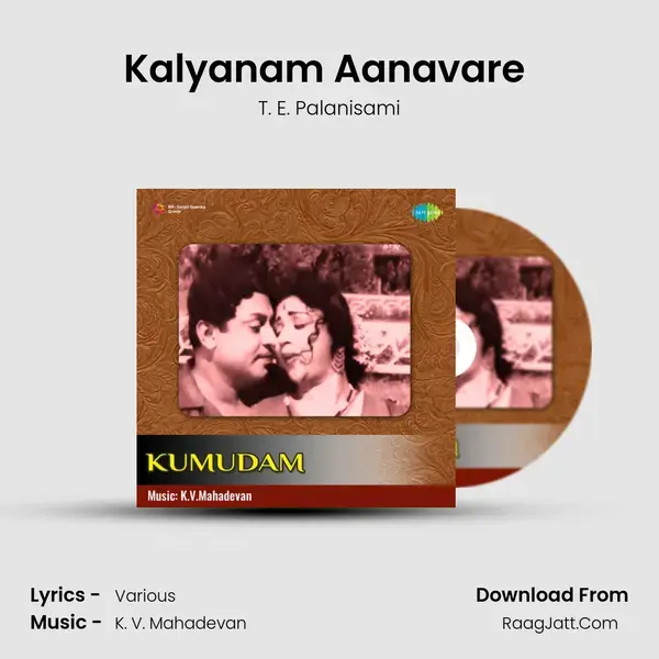 Kalyanam Aanavare (Instrumental) Song mp3 | T. E. Palanisami