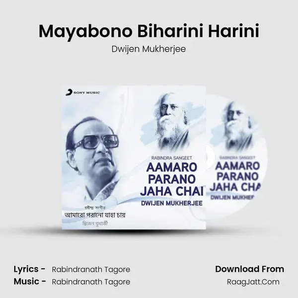 Mayabono Biharini Harini Song mp3 | Dwijen Mukherjee