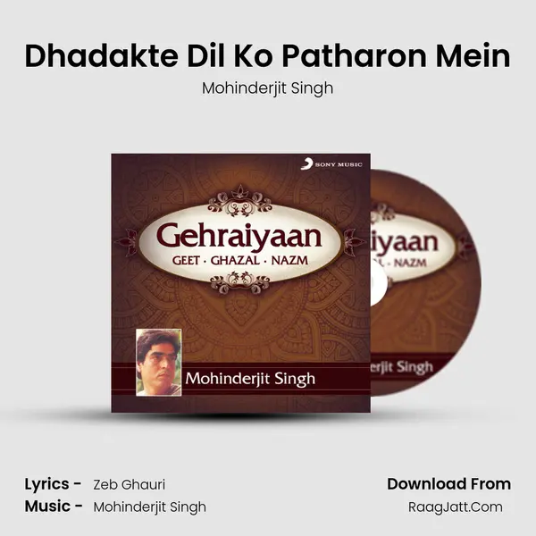 Dhadakte Dil Ko Patharon Mein Song mp3 | Mohinderjit Singh