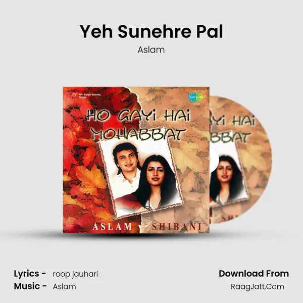 Yeh Sunehre Pal Song mp3 | Aslam