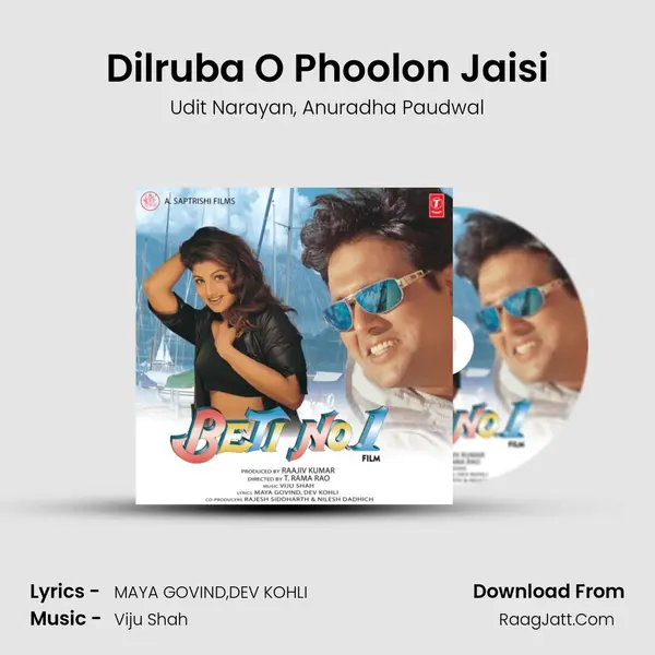 Dilruba O Phoolon Jaisi Song mp3 | Udit Narayan