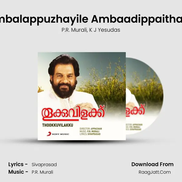 Ambalappuzhayile Ambaadippaithale (Version, 1) Song mp3 | P.R. Murali