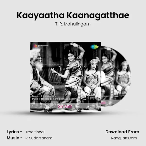 Kaayaatha Kaanagatthae Song mp3 | T. R. Mahalingam