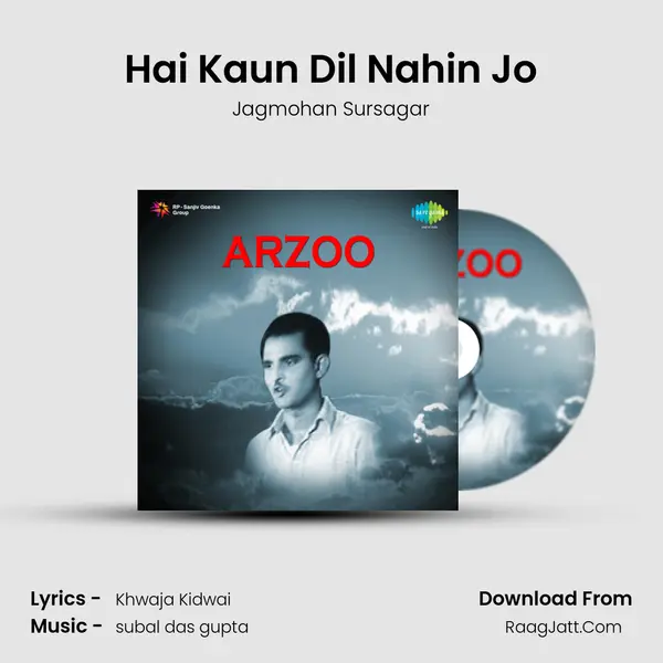 Hai Kaun Dil Nahin Jo mp3 song