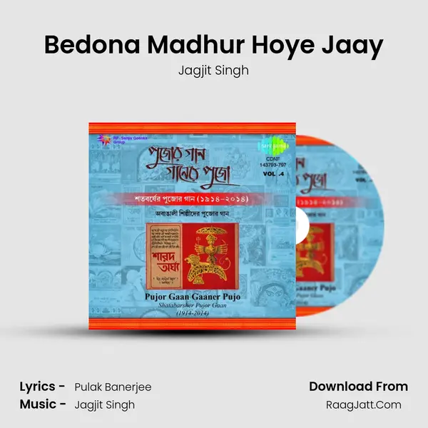 Bedona Madhur Hoye Jaay Song mp3 | Jagjit Singh