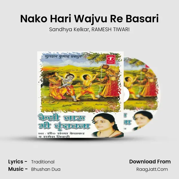 Nako Hari Wajvu Re Basari mp3 song