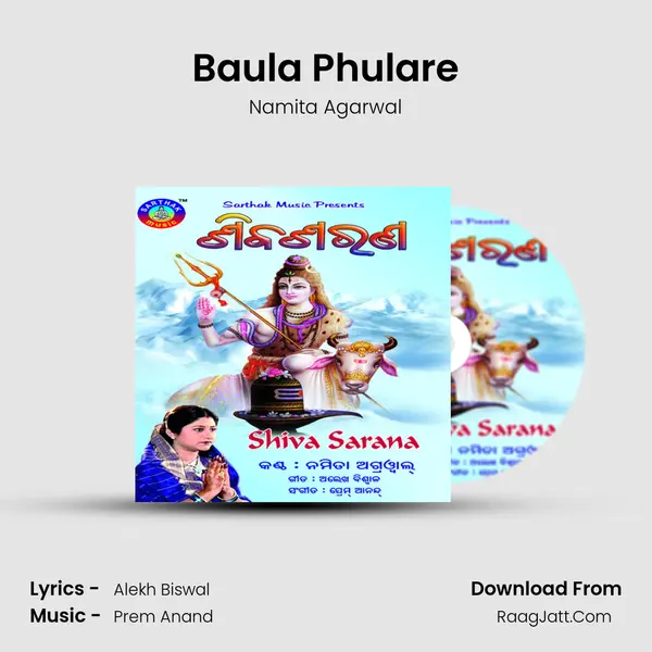 Baula Phulare Song mp3 | Namita Agarwal