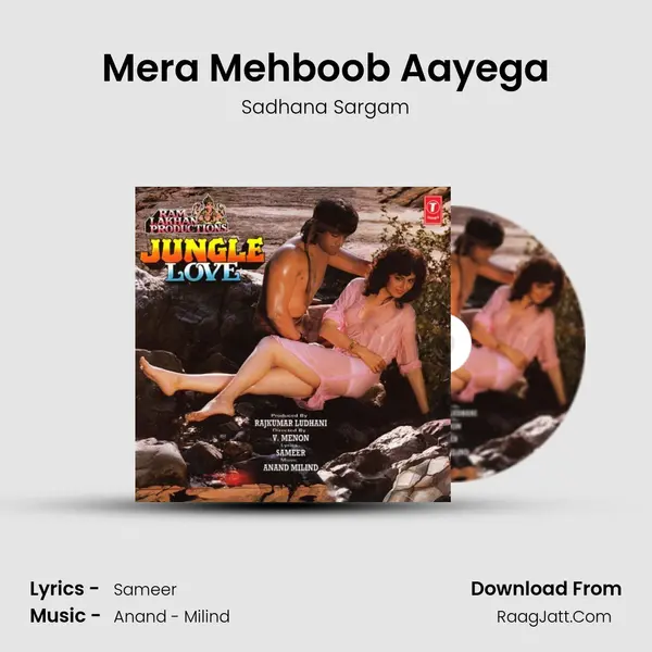 Mera Mehboob Aayega Song mp3 | Sadhana Sargam