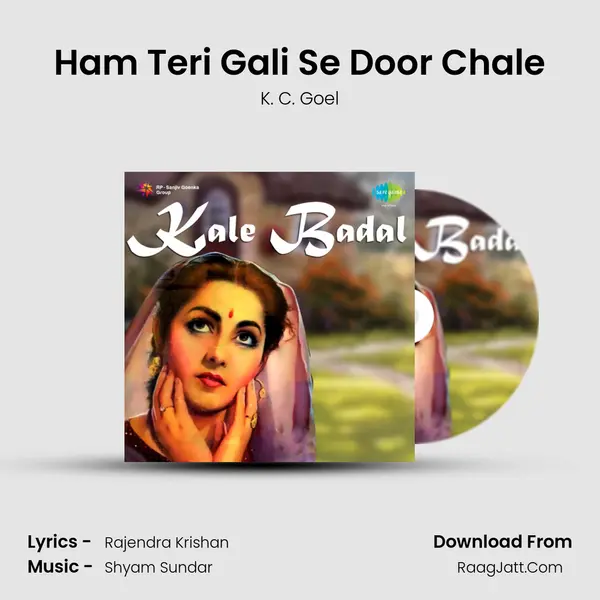 Ham Teri Gali Se Door Chale mp3 song