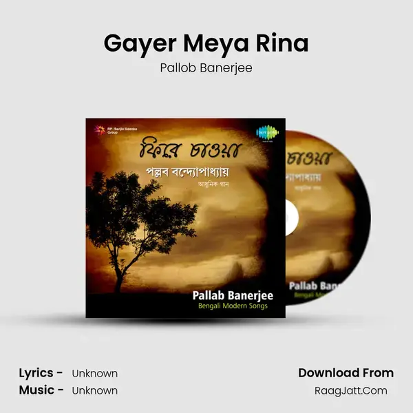 Gayer Meya Rina Song mp3 | Pallob Banerjee