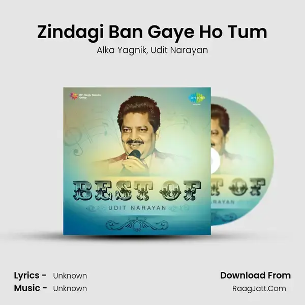 Zindagi Ban Gaye Ho Tum Song mp3 | Alka Yagnik