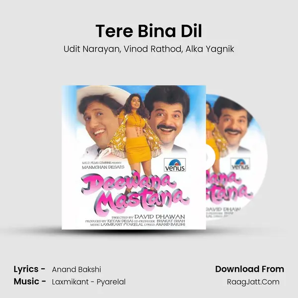 Tere Bina Dil Song mp3 | Udit Narayan