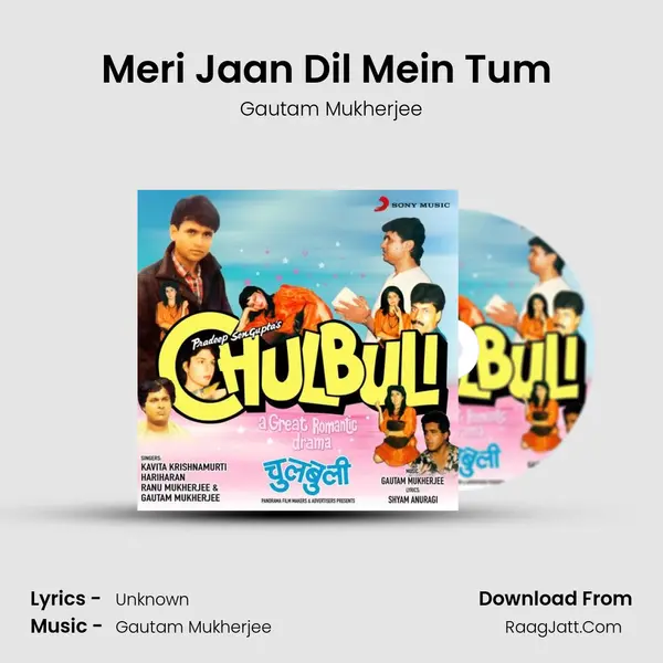 Meri Jaan Dil Mein Tum (Instrumental) mp3 song