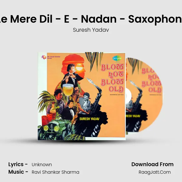 Ae Mere Dil - E - Nadan - Saxophone Song mp3 | Suresh Yadav