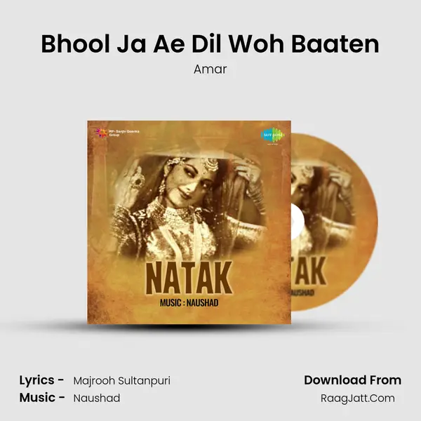 Bhool Ja Ae Dil Woh Baaten Song mp3 | Amar