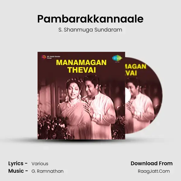 Pambarakkannaale mp3 song