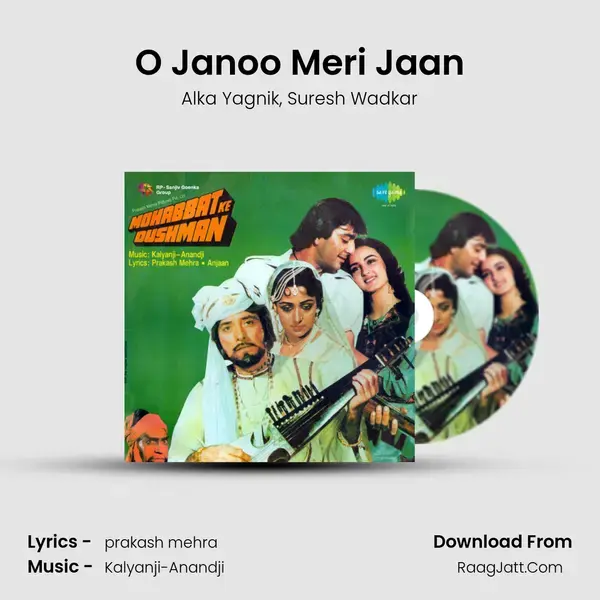 O Janoo Meri Jaan Song mp3 | Alka Yagnik