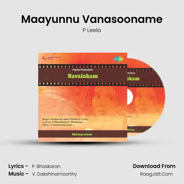 Maayunnu Vanasooname Song mp3 | P Leela