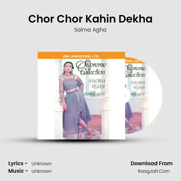 Chor Chor Kahin Dekha Song mp3 | Salma Agha