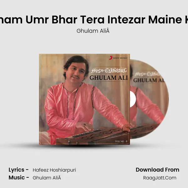 Tamam Umr Bhar Tera Intezar Maine Kiya mp3 song