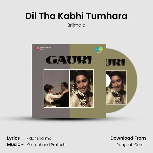 Dil Tha Kabhi Tumhara mp3 song