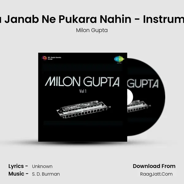 Mana Janab Ne Pukara Nahin - Instrumental mp3 song