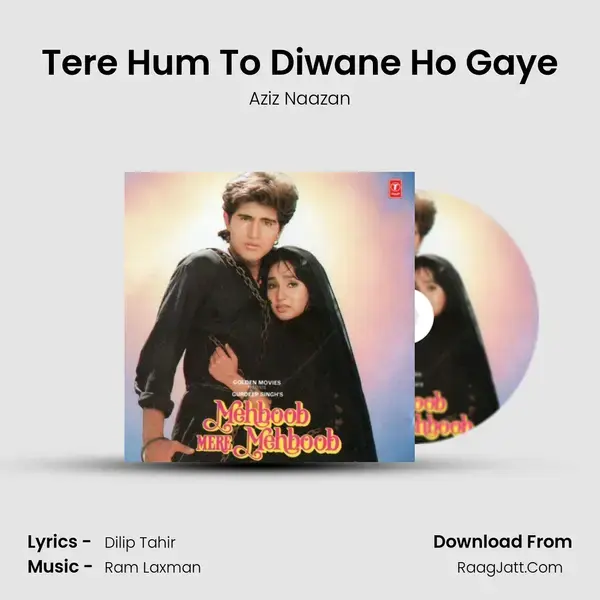 Tere Hum To Diwane Ho Gaye Song mp3 | Aziz Naazan