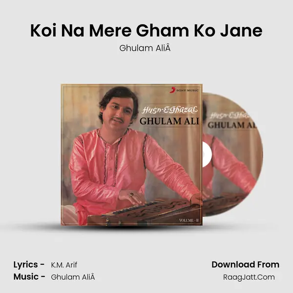 Koi Na Mere Gham Ko Jane mp3 song