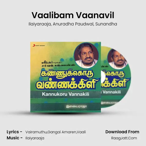 Vaalibam Vaanavil Song mp3 | Ilaiyaraaja