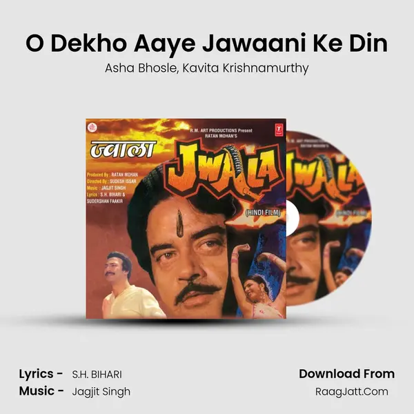 O Dekho Aaye Jawaani Ke Din Song mp3 | Asha Bhosle